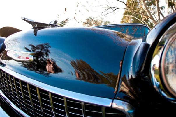 ChesapeakeCar