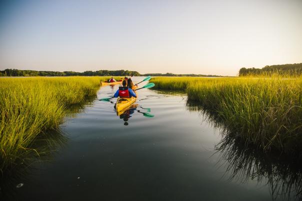 Paddle Your Glass Off Kayak Tour