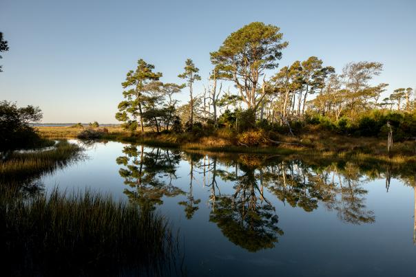 Assateague Island National Seashore