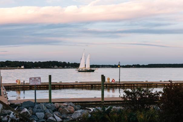Yorktown Sailing Charters: Schooner Alliance Sunset Cruise