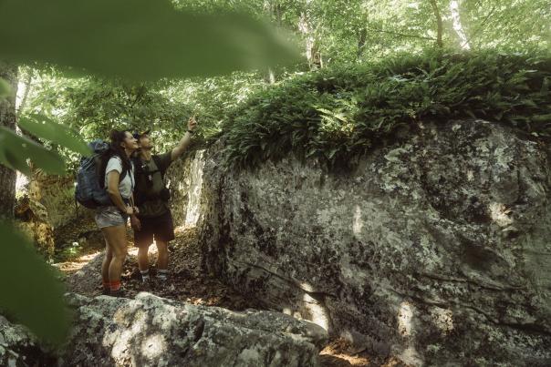 McAfee Knob Trail