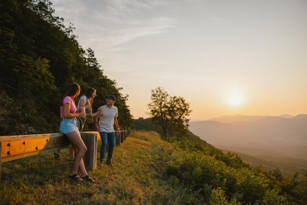 Pine Tree Overlook - Blue Ridge Parkway