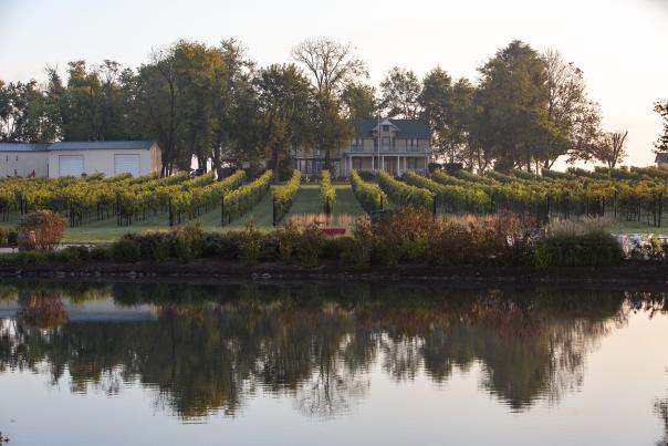 Old House Vineyards