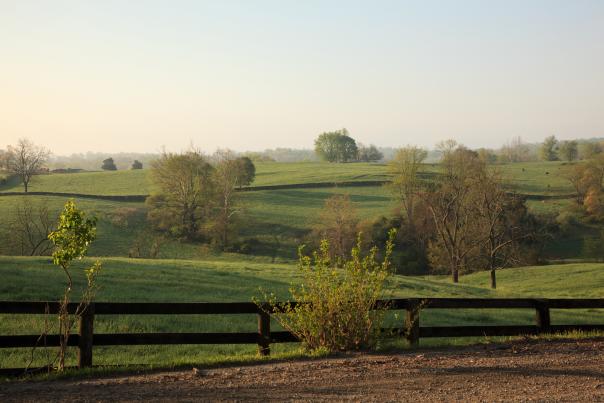 Goodstone Inn