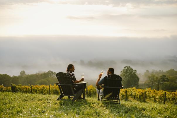 Bluemont Vineyard