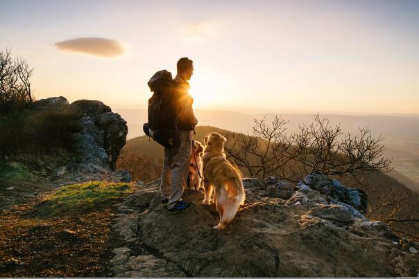 Hawksbill Mountain, Shenandoah National Park