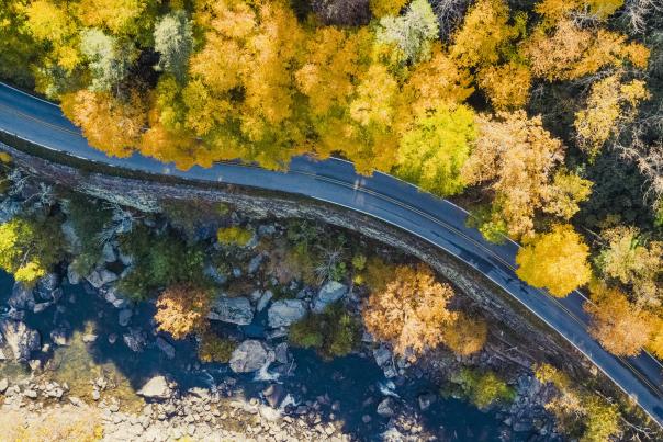 An overhead of a winding road bordered by trees with yellow leaves and the rocky coast of a river