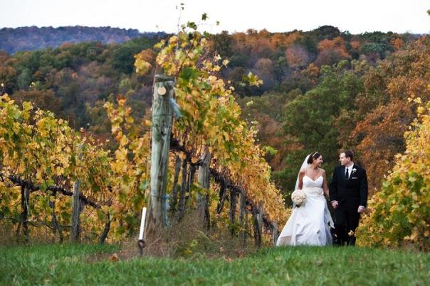 veritas vineyards wedding