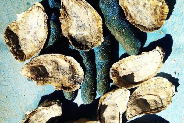 The Ultimate Oyster Trip to Virginia's Eastern Shore
