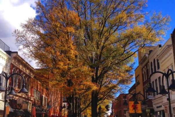 10 Places to Enjoy Dazzling Fall Foliage in the Charlottesville Area!