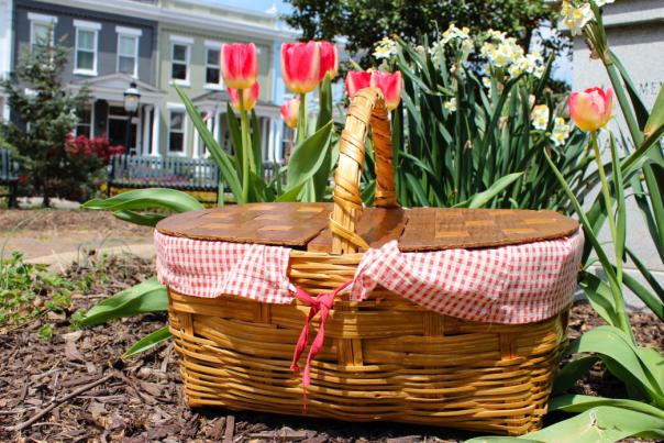 Richmond Picnic Spots
