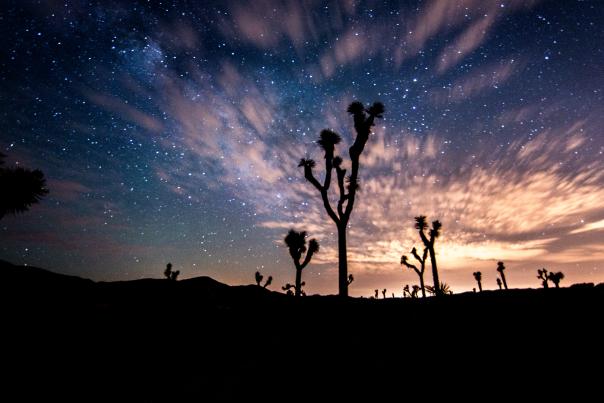 Stargazing in Joshua Tree