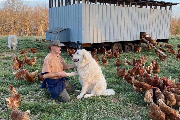 Man shaking a dog's paw surrounded by chickens on the farm.