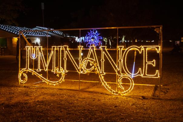 Luminance holiday lights