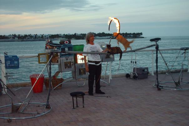 A Key West tradition is the nightly sunset celebration at Mallory Square, complete with street performers like Catman.
