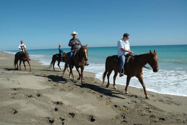 1335280932_horseback_riding_on_the_beach_hutchinson_island.jpg