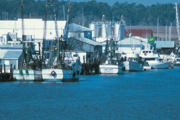 Uncover the Small Town Charms of Apalachicola