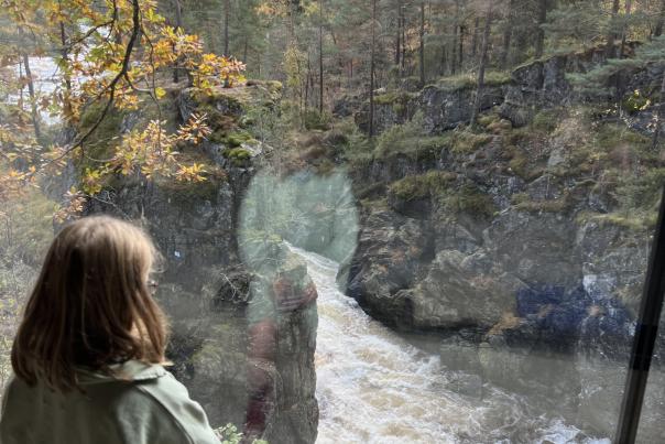Et barn sitter ved et stort vindu og ser ut på Kvåsfossen i Lyngdal. Elva fosser ned gjennom kløften omgitt av høstfargede trær.