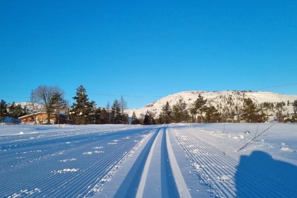 skiløype