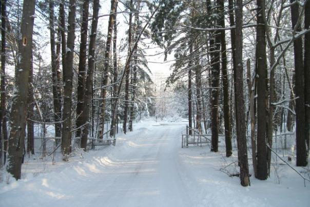 208954_367067223402025_282935212_n