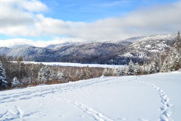 Garnet Hill Lodge - Winter