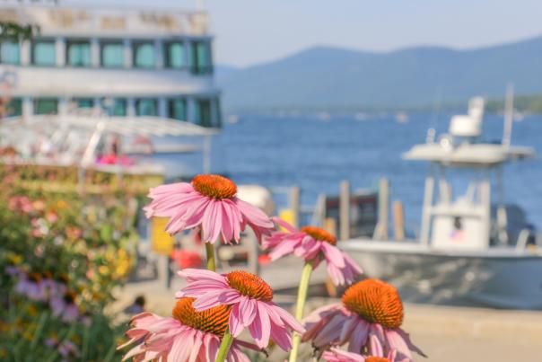 Flowers in Lake George