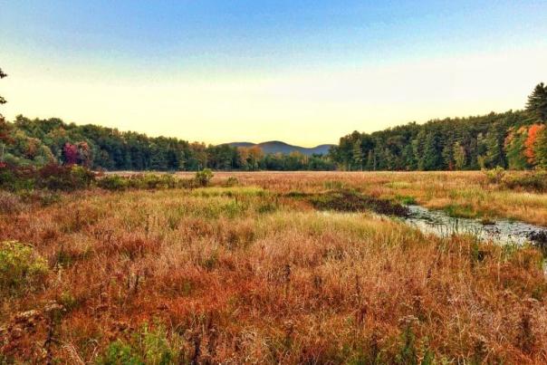RushPond_Queensbury-copy-768x576