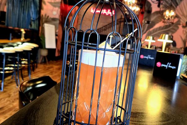 social house bird juice