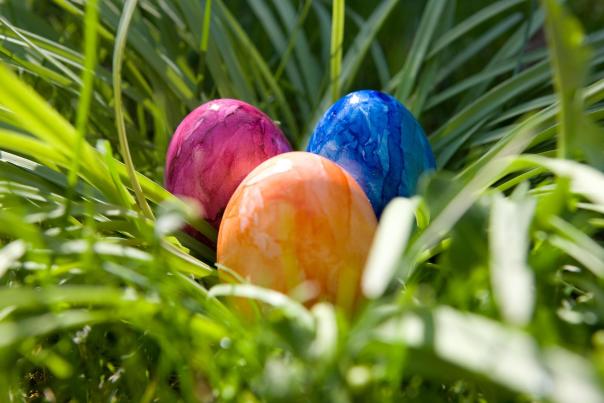 Easter eggs in grass
