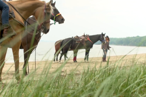 Horseback riding