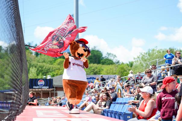 Washington Wild Things