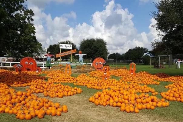 Houston Pumpkin Festival