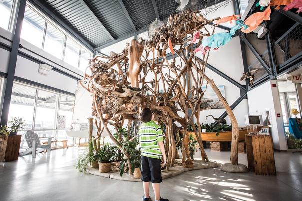 North Carolina Estuarium
