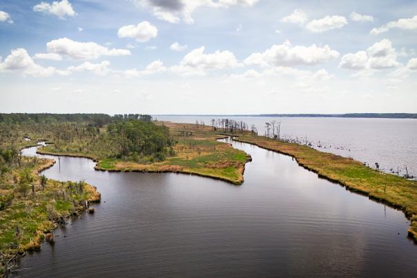Goose Creek State Park