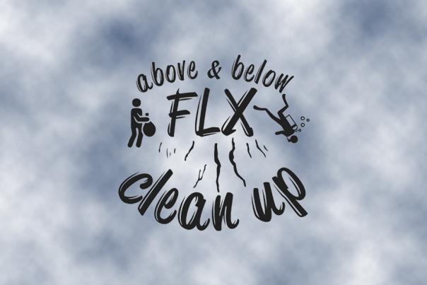 FLX Clean Up