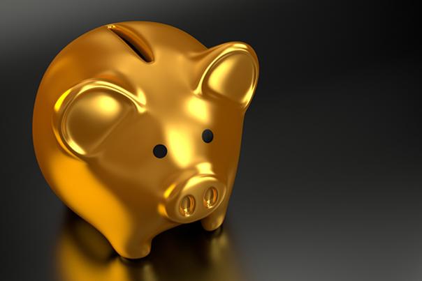 gold pig