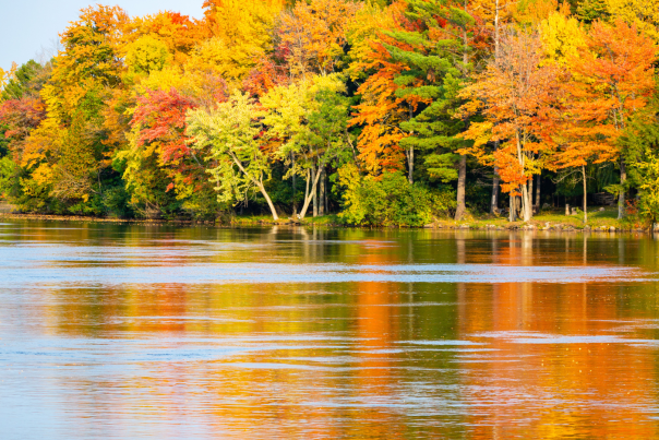 Merrill Wisconsin River Fall