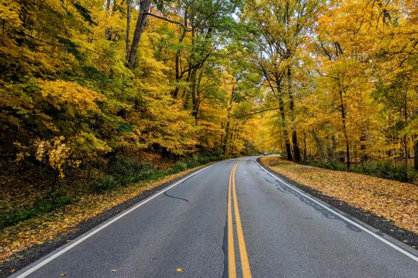 Autumn Fall scenery