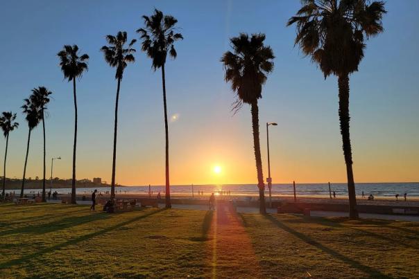 San-Diego-Park-Sunset