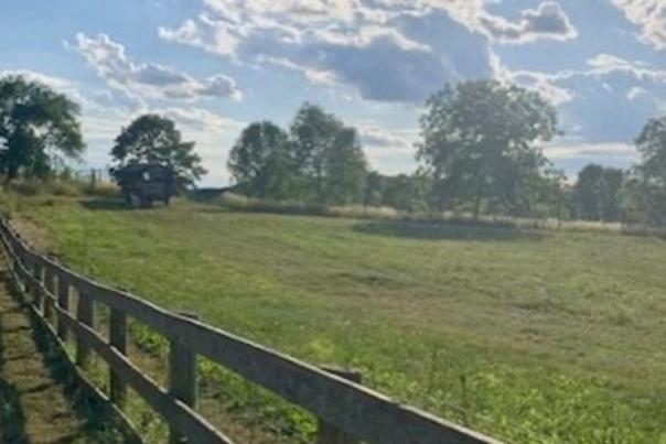 fields at Harvest Moon farm