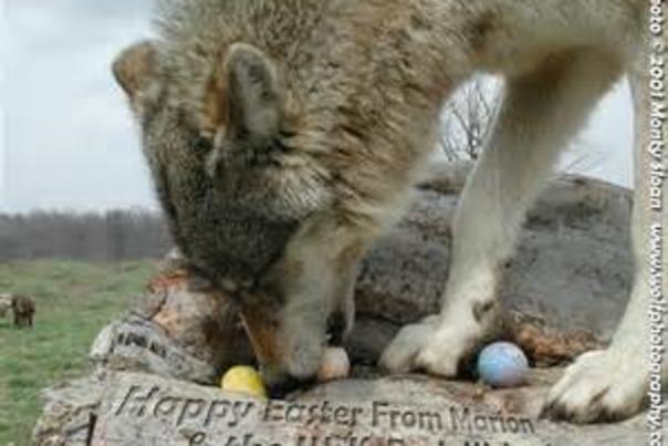 Easter