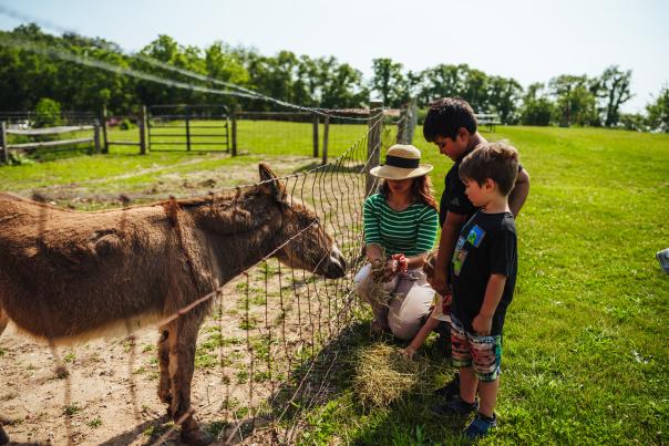 The Farm at Prophetstown