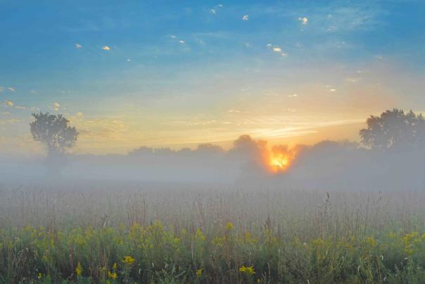 Prophetstown State Park