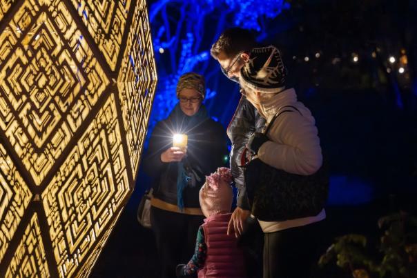 Frederik Meijer Gardens Enlighten