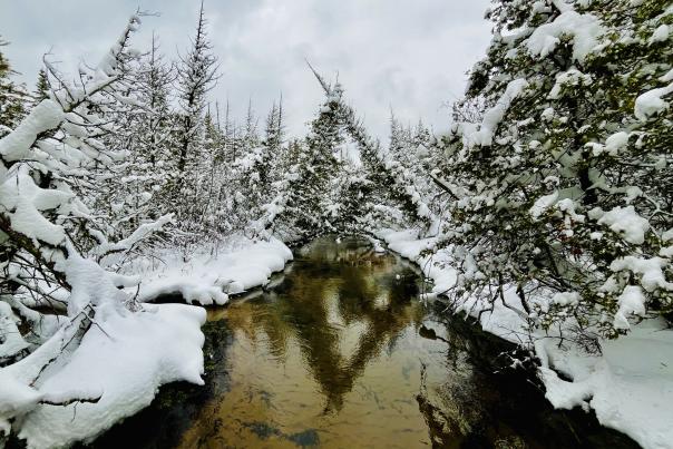 Grass River Natural Area