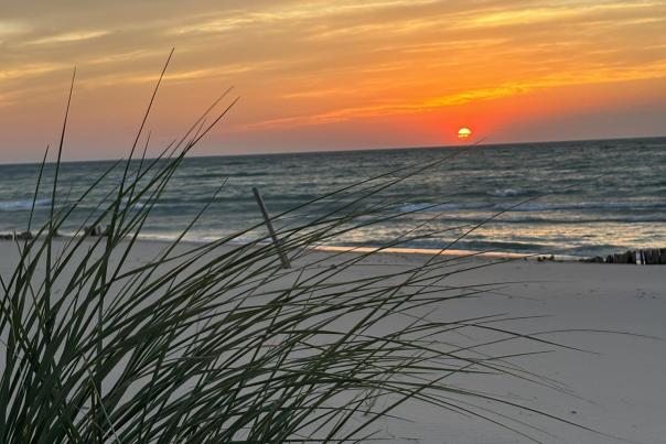 Covert Park Beach & Campground