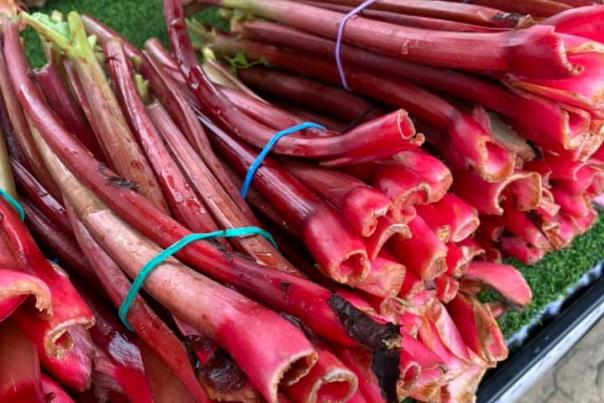 Holland Farmers Market