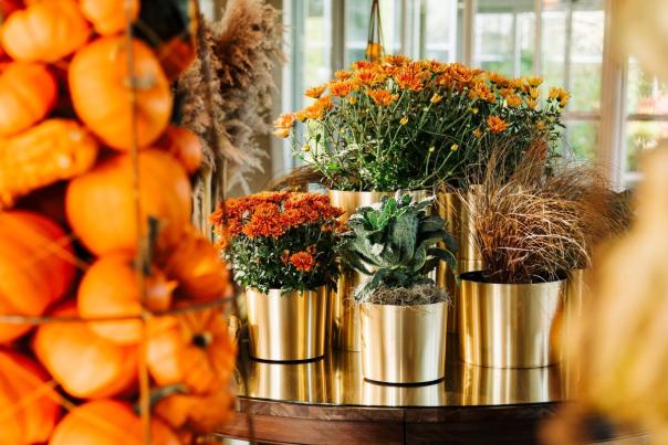 Frederik Meijer Gardens