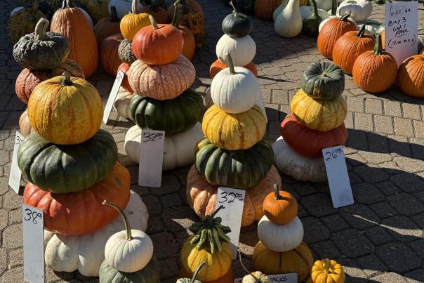 Holland Farmers Market