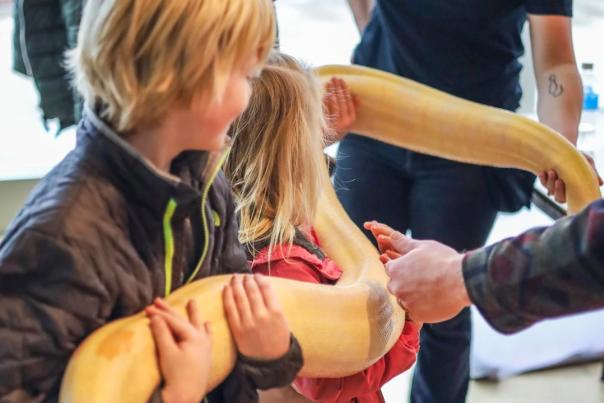 Grand Rapids Downtown Market